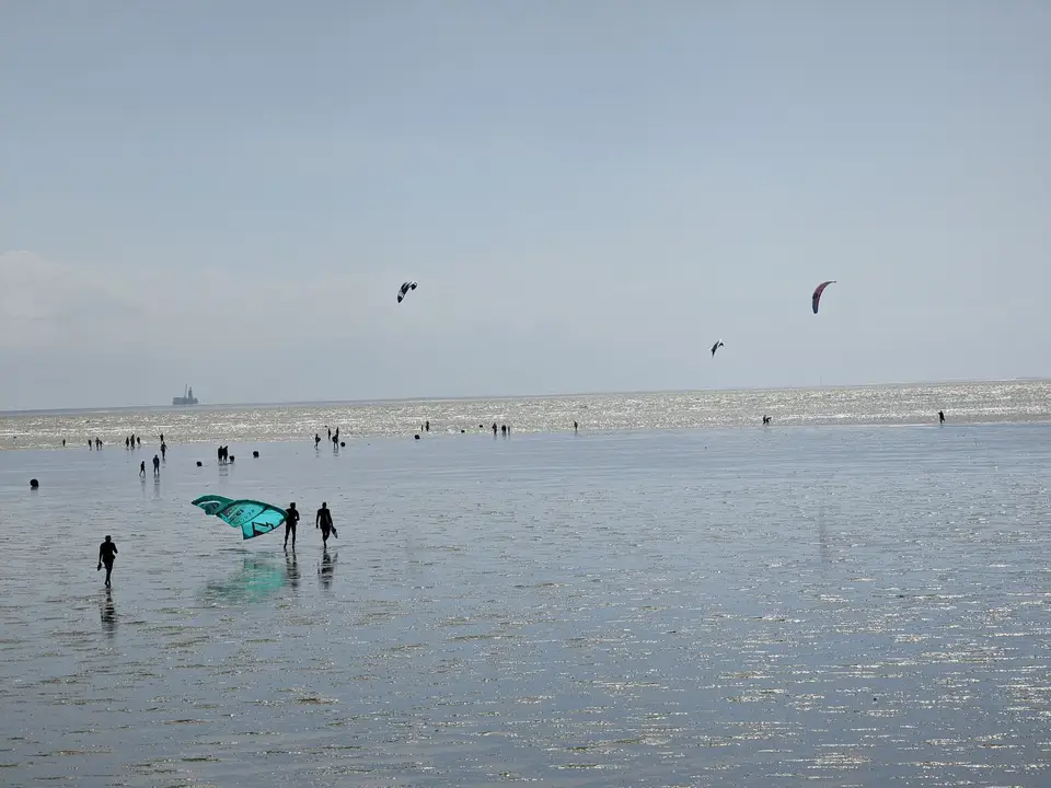 Out on the seabed with a net