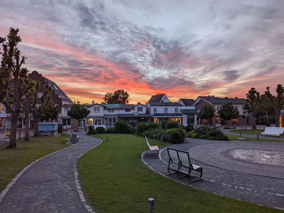 Sunset over the park by the shore