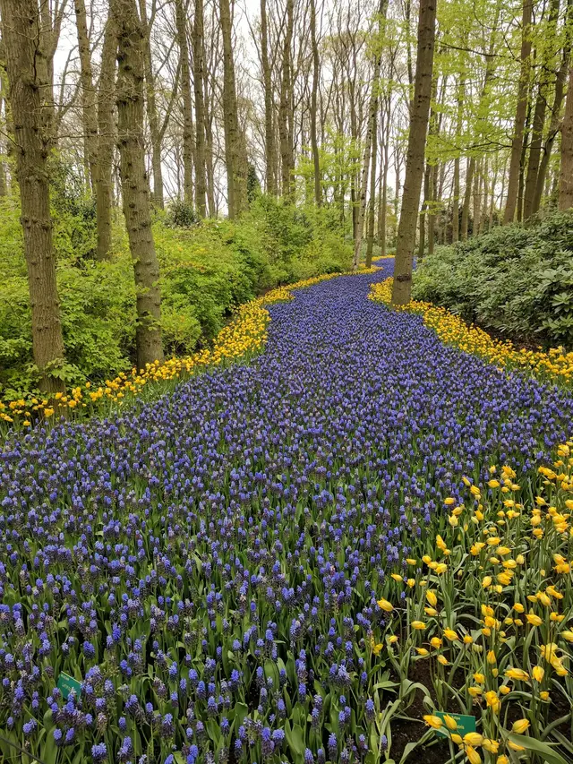 The blue river edged in yellow