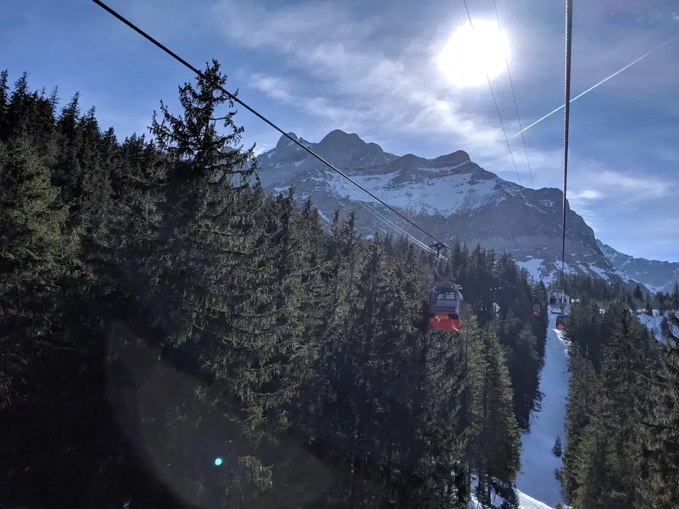 The cable running down through the trees