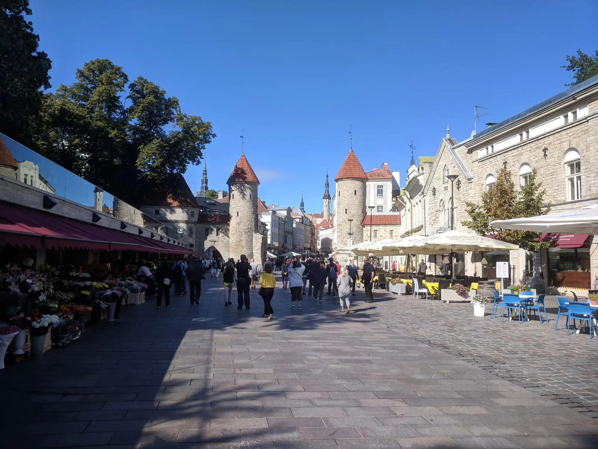 Estonia, photographed on one of our own trips