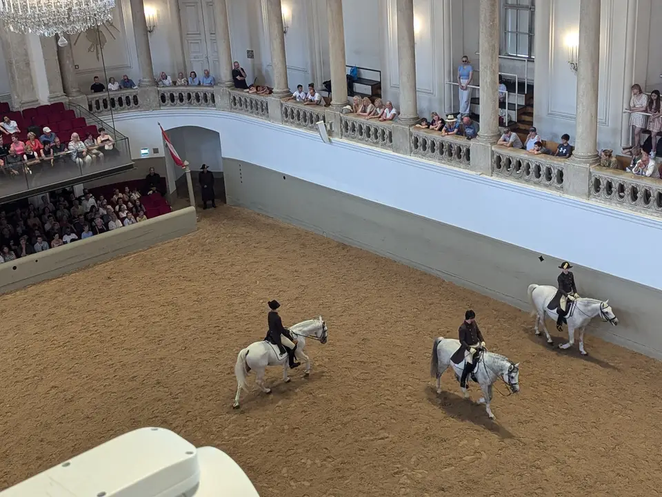 Lipizzaners working in the arena