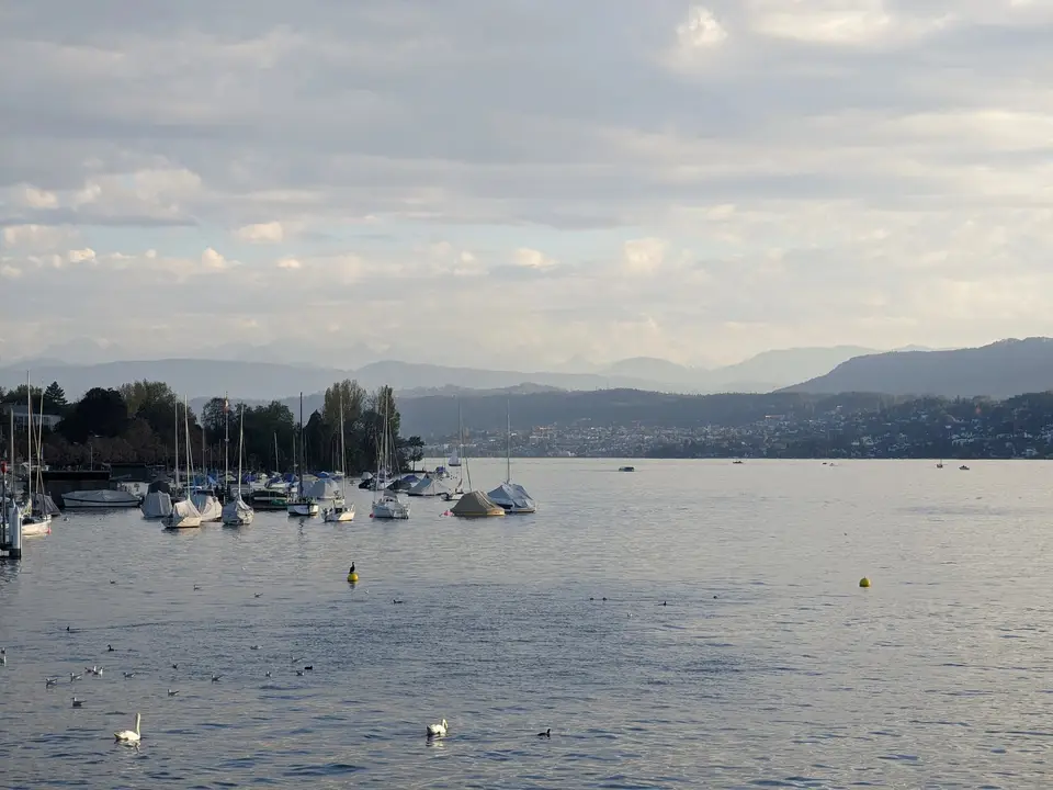 The lake looking south toward the Alps